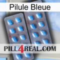 Blue Pill viagra4